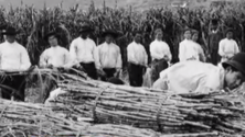 Imagem de Madeira foi dos primeiros territórios do país a ter mão-de-obra escrava (Vídeo)