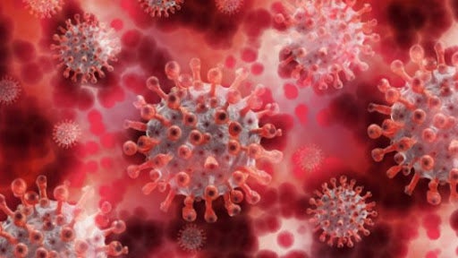 Imagem de Covid-19: Sistema identifica características radiológicas da infeção