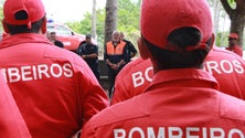 Imagem de Proteção Civil realiza exercício no Pico (Vídeo)