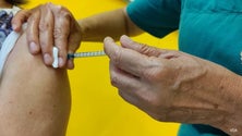 Imagem de 70% da população da Europa vacinada até ao verão