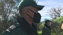 Imagem de Instituto das Florestas recorda normas de segurança para os passeios (áudio)