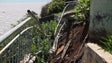 Imagem de Derrocada junto a vereda em Câmara de Lobos