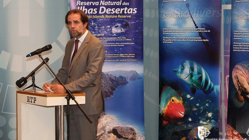Imagem de Madeira é uma das regiões com mais áreas protegidas no mundo