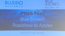 Pitch Fest: Apresentados 12 projetos locais de Biotecnologia Azul