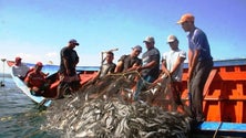 Imagem de Pescadores, apanhadores de lapas e armadores vão receber compensação (Áudio)