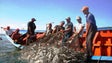 Imagem de Pescadores, apanhadores de lapas e armadores vão receber compensação (Áudio)
