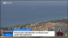 Imagem de Procura pelo Porto Santo na Páscoa ficou abaixo das expetativas da Porto Santo Line (vídeo)