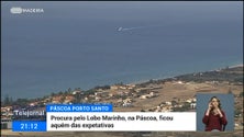 Procura pelo Porto Santo na Páscoa ficou abaixo das expetativas da Porto Santo Line (vídeo)