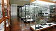 Imagem de O Museu de História Natural do Funchal vai ser requalificado