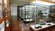 O Museu de História Natural do Funchal vai ser requalificado