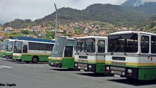 Imagem de Madeira gasta 200 milhões (vídeo)