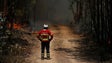 Imagem de Incêndios: Principais causas este ano são uso negligente e fogo posto