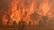 Onda extrema de calor causa incêndios florestais