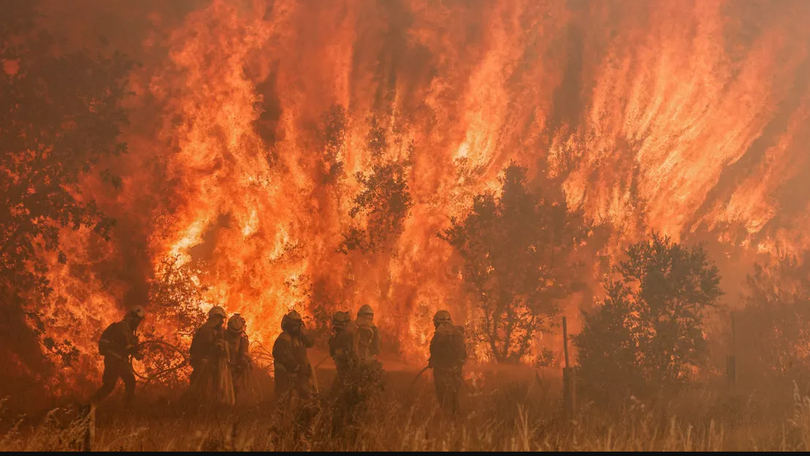 Onda extrema de calor causa incêndios florestais