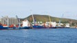 Governo da Madeira revoga declaração de interesse estratégico do regimento de licenciamento de operação portuária