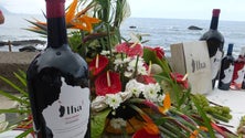 Imagem de Vinho “Ilha” da casta tinta negra de 2017 é considerado um dos melhores de Portugal