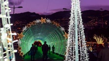 Imagem de Iluminações natalícias no Funchal destacam-se pela «criatividade e inovação»