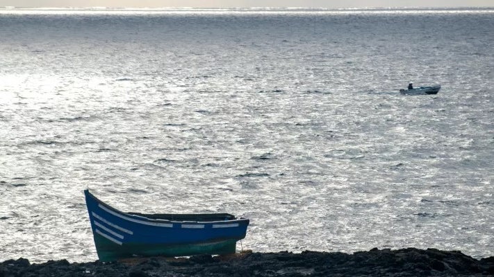 Imagem de Migrações: Portugal acolheu hoje oito crianças e jovens