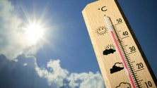 Imagem de IFCN apela a que sejam cumpridas as regras em relação ao calor (áudio)