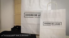 Imagem de Prazo de candidaturas ao «Viveiro de Lojas» alargado
