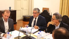 Imagem de Governo da Madeira alerta para tentativas de “desestabilização” do setor da banana