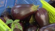Imagem de Calor provoca amadurecimento de frutas e legumes (vídeo)