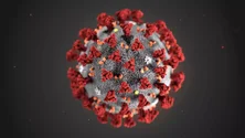 Imagem de Covid-19: Cientistas temem nova mutação do vírus na China