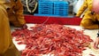 Imagem de Madeira pode capturar entre 10 a 15 toneladas de gamba por ano, diz estudo (Vídeo)
