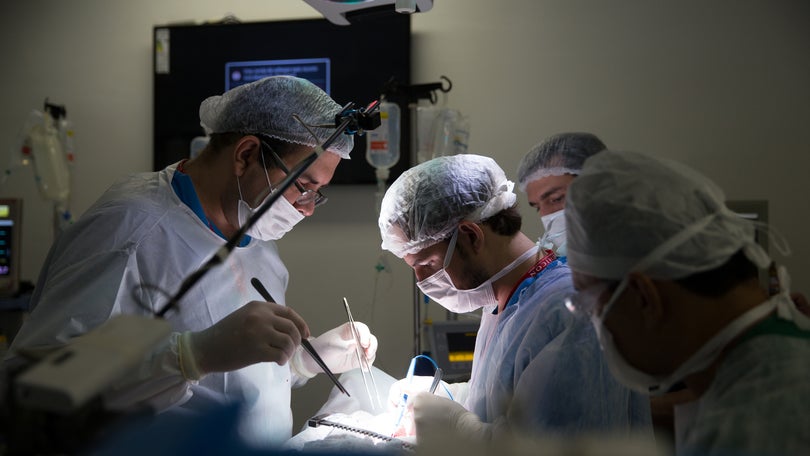 Imagem de Médicos começam hoje greve nacional de três dias