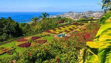 Imagem de Jardim Botânico assinala 58.º aniversário