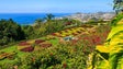 Imagem de Jardim Botânico assinala 58.º aniversário