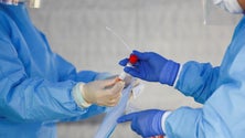 Imagem de  Covid-19: Madeira com mais 2 doentes recuperados e sem novos casos