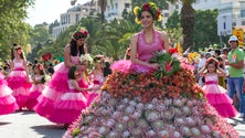 Imagem de Festa da Flor gera boas expetativas (áudio)