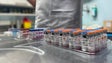Imagem de Animais sem medicamentos (vídeo)