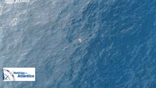 Imagem de Gouveia e Melo quer valorizar o Mar dos Açores (Vídeo)