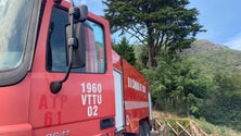 Imagem de Serras do Campanário e Jardim da Serra concentram o incêndio mais complicado (áudio)