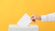 Imagem de Eleitores terão 292 secções de votos distribuídas pelos 11 concelhos