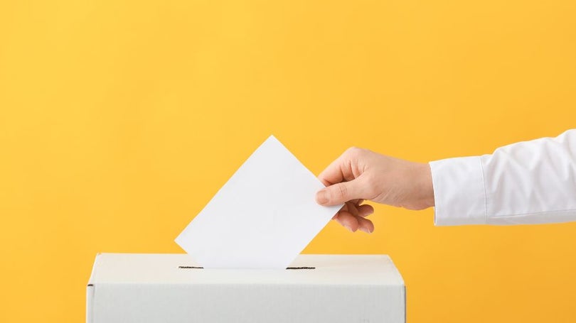 Imagem de Eleitores terão 292 secções de votos distribuídas pelos 11 concelhos