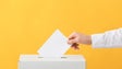 Eleitores terão 292 secções de votos distribuídas pelos 11 concelhos