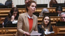Imagem de PSD lamenta chumbos da maioria na Assembleia da República
