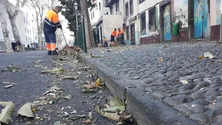 Câmara do Funchal destaca brigada para o Monte (áudio)