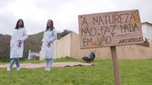 Imagem de Dia Mundial da Floresta