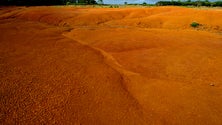 Imagem de Curso de PaleoBioGeografia está a decorrer em Santa Maria (Vídeo)