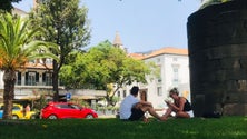 Imagem de Termómetro chega aos 35º, humidade aos 20%