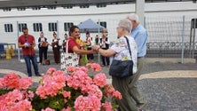 Imagem de Turistas elogiam hospitalidade dos madeirenses