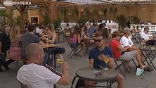 Imagem de Produtores regionais dizem que pandemia continua a gerar quebras na comercialização de vinho (Vídeo)