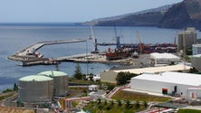 Imagem de Centro de Negócios da Madeira regista 177 novas empresas em 2016