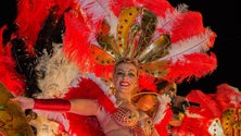 Imagem de Cortejo de Carnaval invade ruas do Funchal no sábado