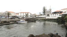 Imagem de Continua o problema das algas no porto da Madalena do Pico