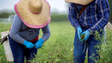 Isenção de IRS para estudantes a trabalhar na agricultura